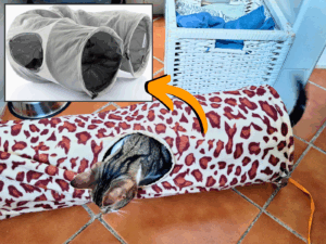 Lolo gato tunel para gatos juego amazon espana Lolo Tarifa Andalucia adoptame